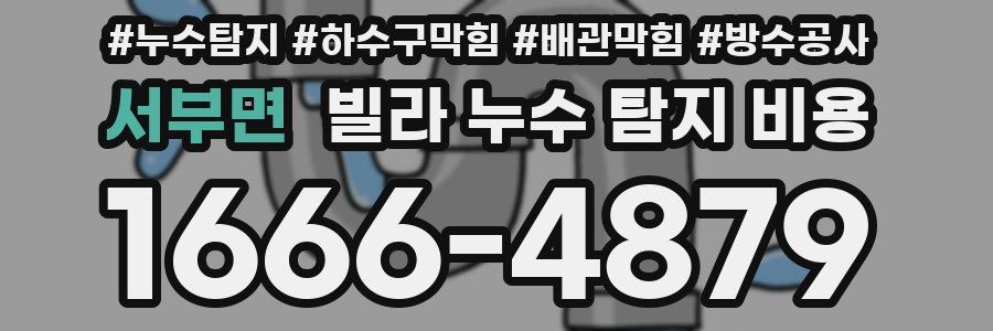 서부면 빌라 누수 탐지 비용