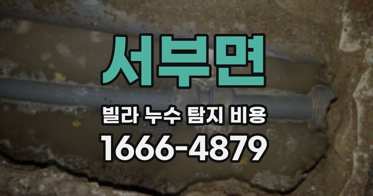 서부면 빌라 누수 탐지 비용