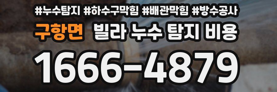 구항면 빌라 누수 탐지 비용