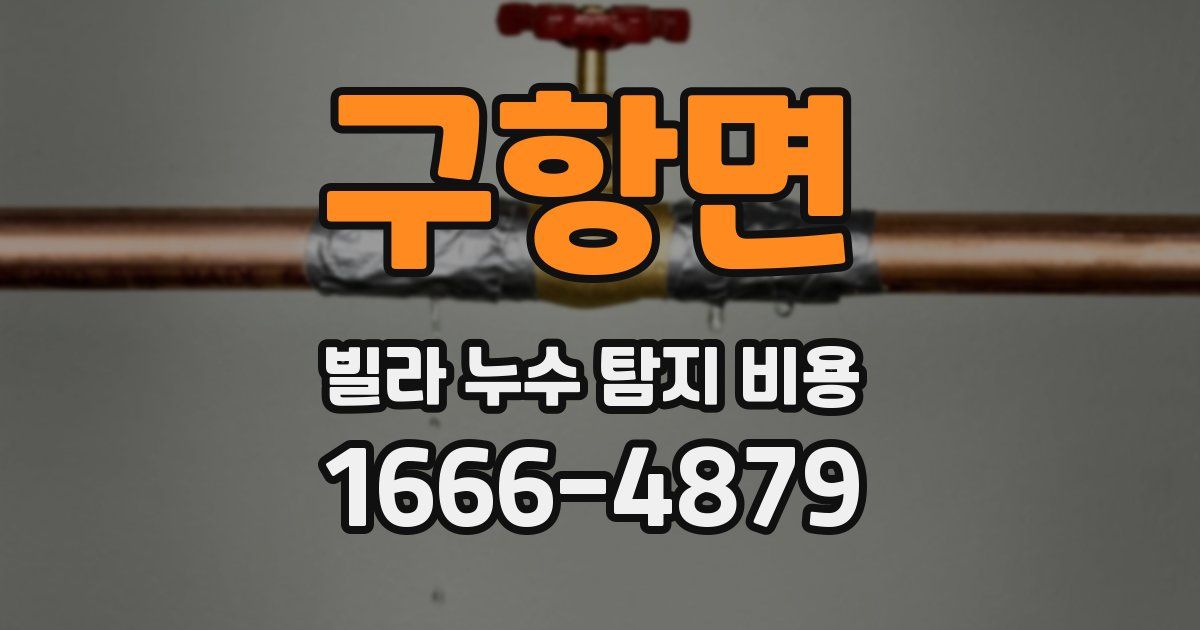 구항면 빌라 누수 탐지 비용