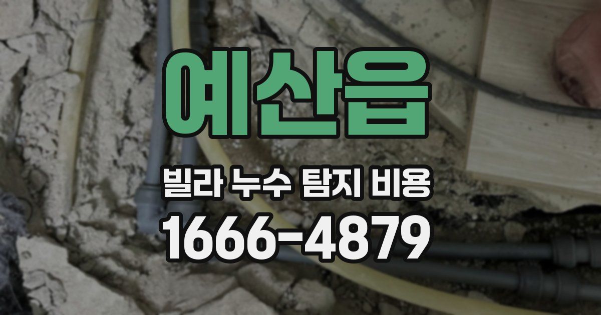 예산읍 빌라 누수 탐지 비용
