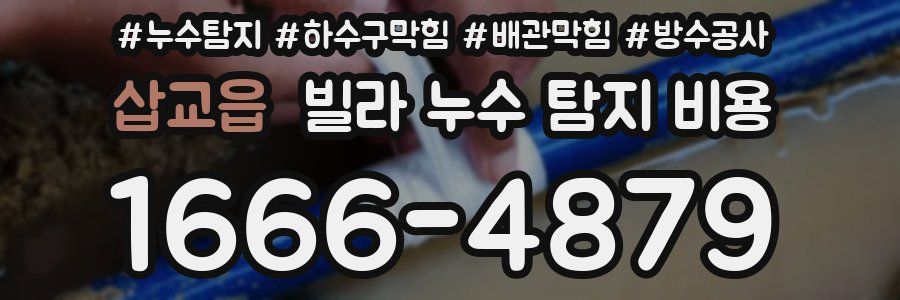 삽교읍 빌라 누수 탐지 비용