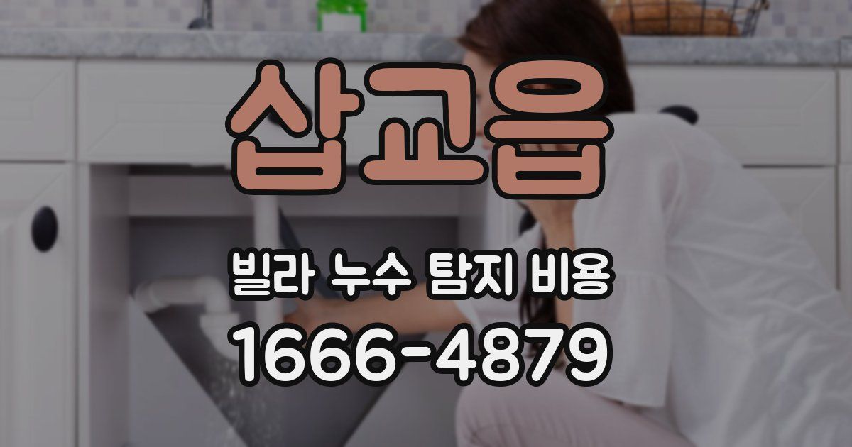 삽교읍 빌라 누수 탐지 비용