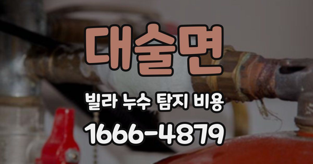 대술면 빌라 누수 탐지 비용