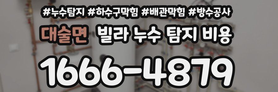 대술면 빌라 누수 탐지 비용