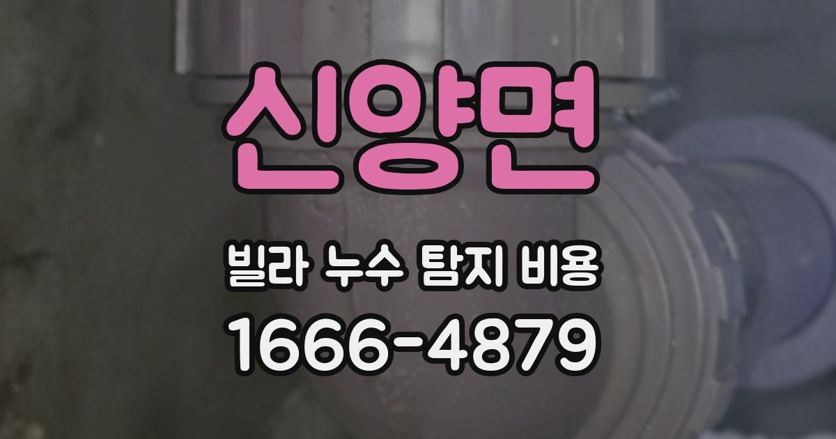 신양면 빌라 누수 탐지 비용