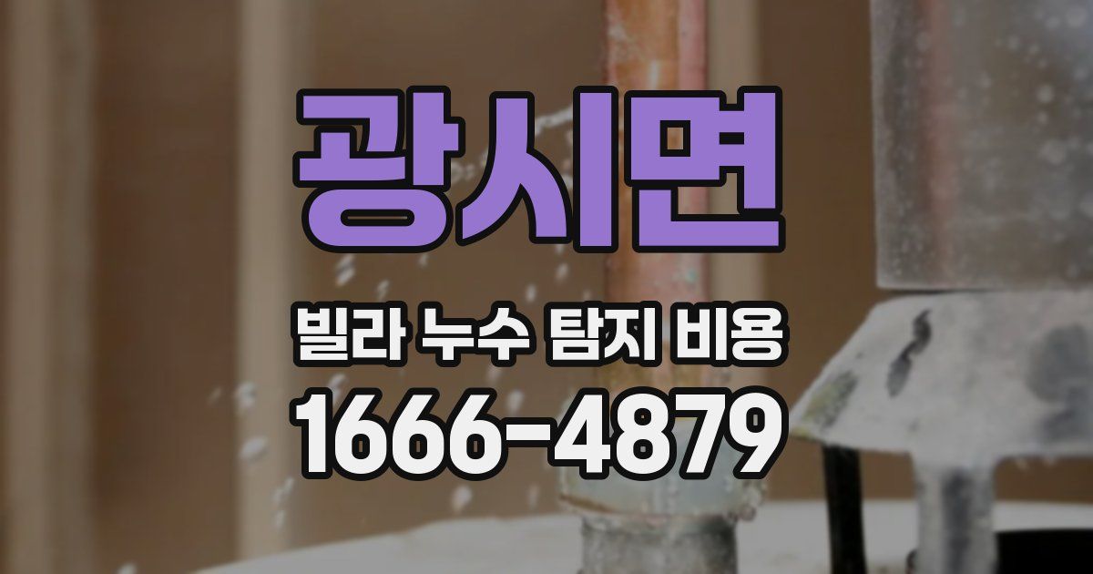 광시면 빌라 누수 탐지 비용