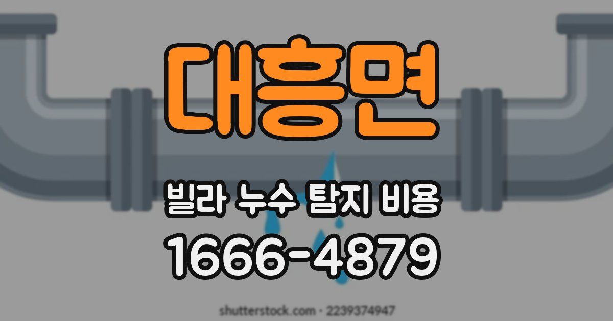 대흥면 빌라 누수 탐지 비용