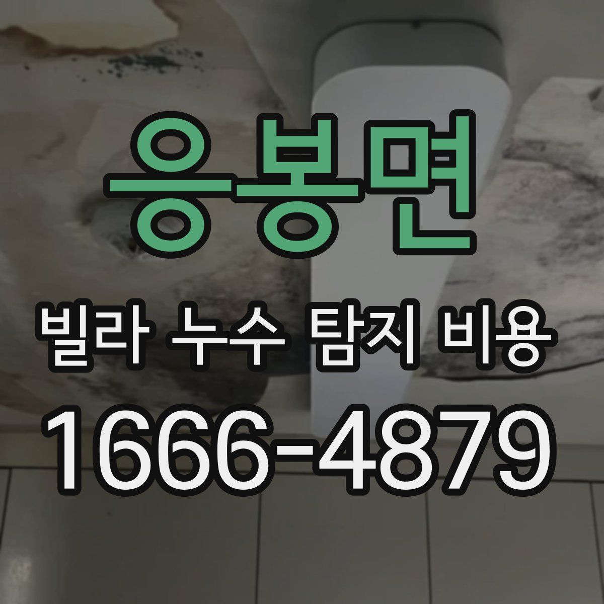 응봉면 빌라 누수 탐지 비용