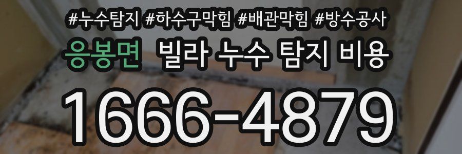 응봉면 빌라 누수 탐지 비용