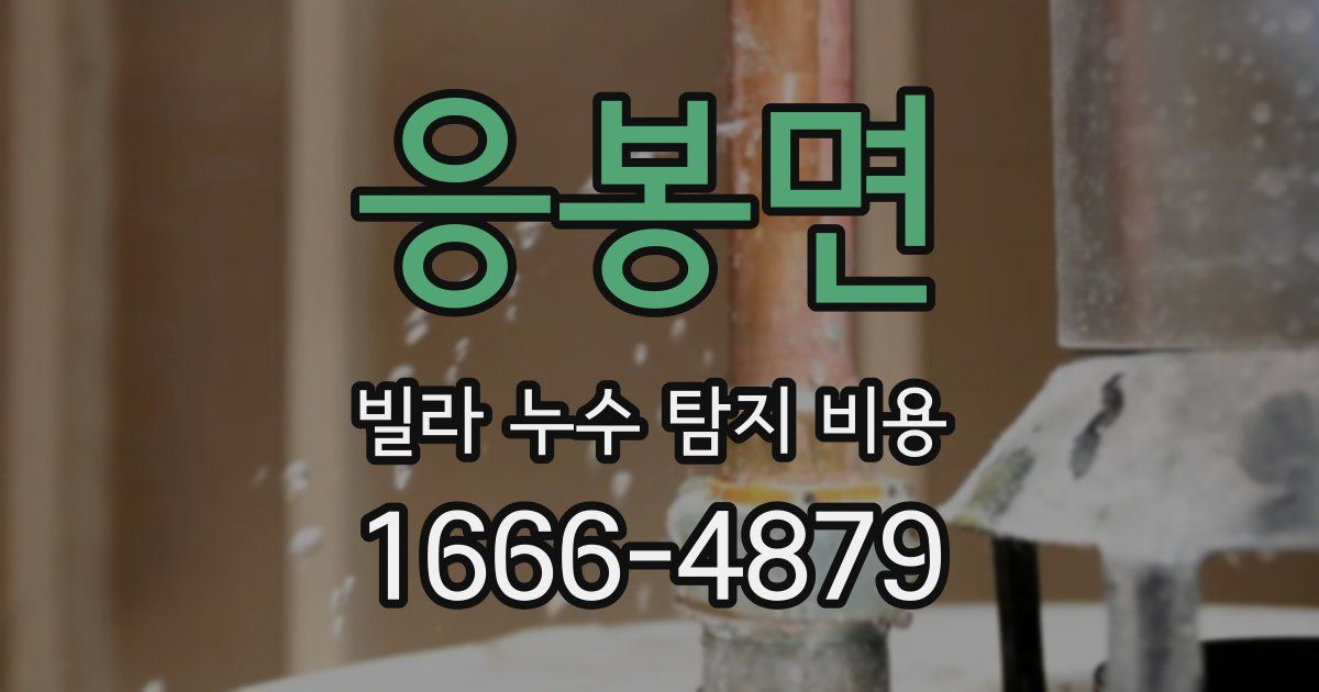 응봉면 빌라 누수 탐지 비용