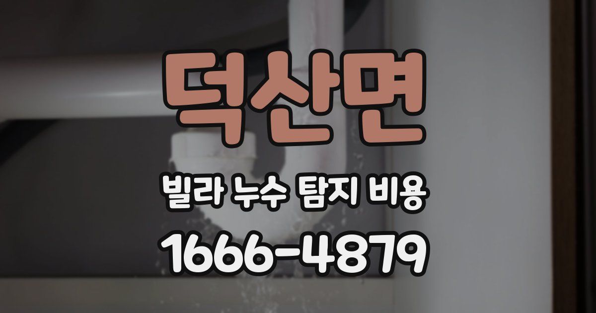 덕산면 빌라 누수 탐지 비용