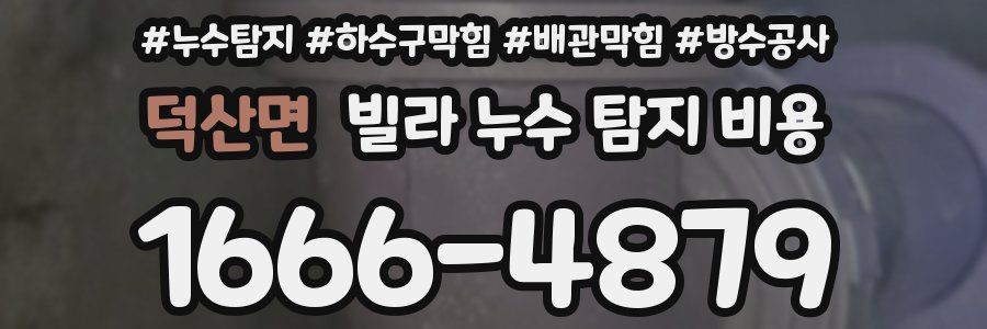 덕산면 빌라 누수 탐지 비용