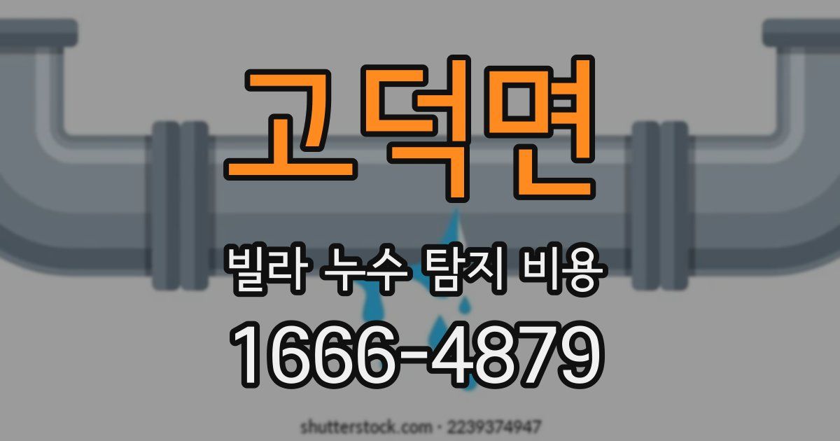 고덕면 빌라 누수 탐지 비용