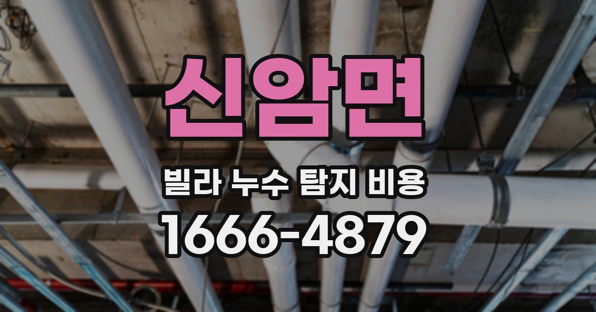 신암면 빌라 누수 탐지 비용