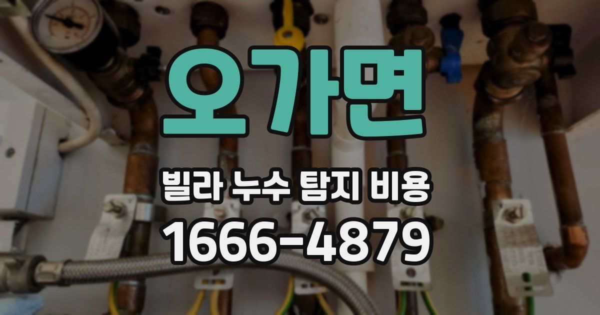 오가면 빌라 누수 탐지 비용