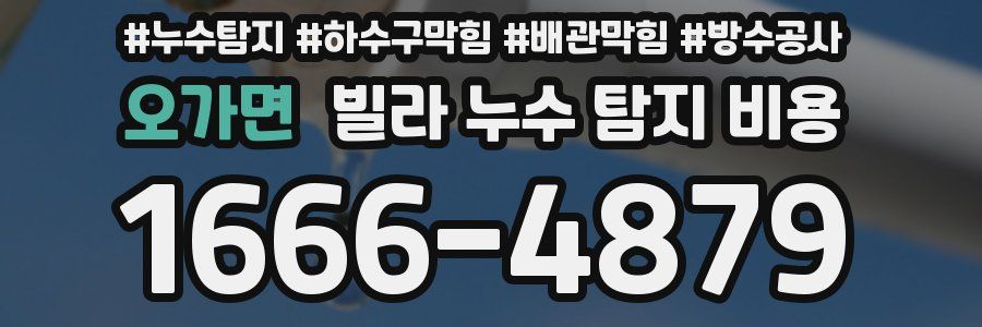 오가면 빌라 누수 탐지 비용