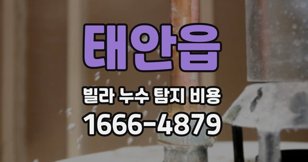 태안읍 빌라 누수 탐지 비용