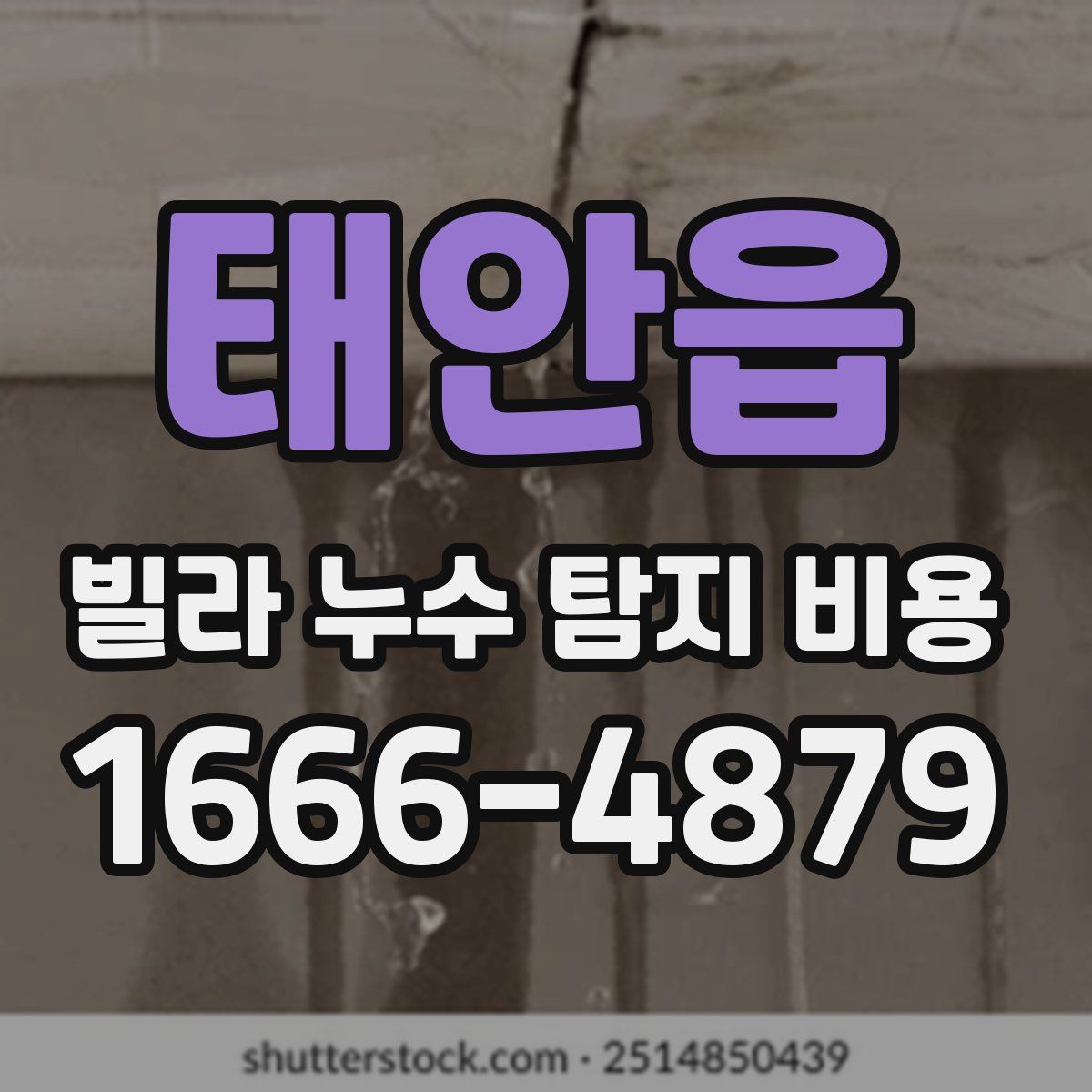 태안읍 빌라 누수 탐지 비용