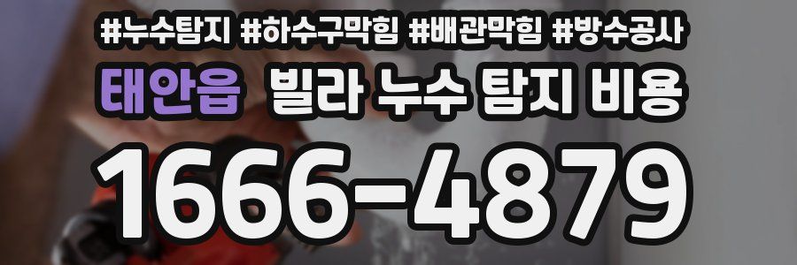 태안읍 빌라 누수 탐지 비용