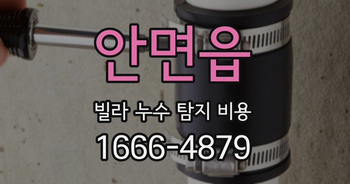 안면읍 빌라 누수 탐지 비용