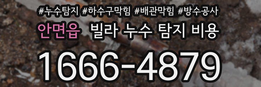 안면읍 빌라 누수 탐지 비용