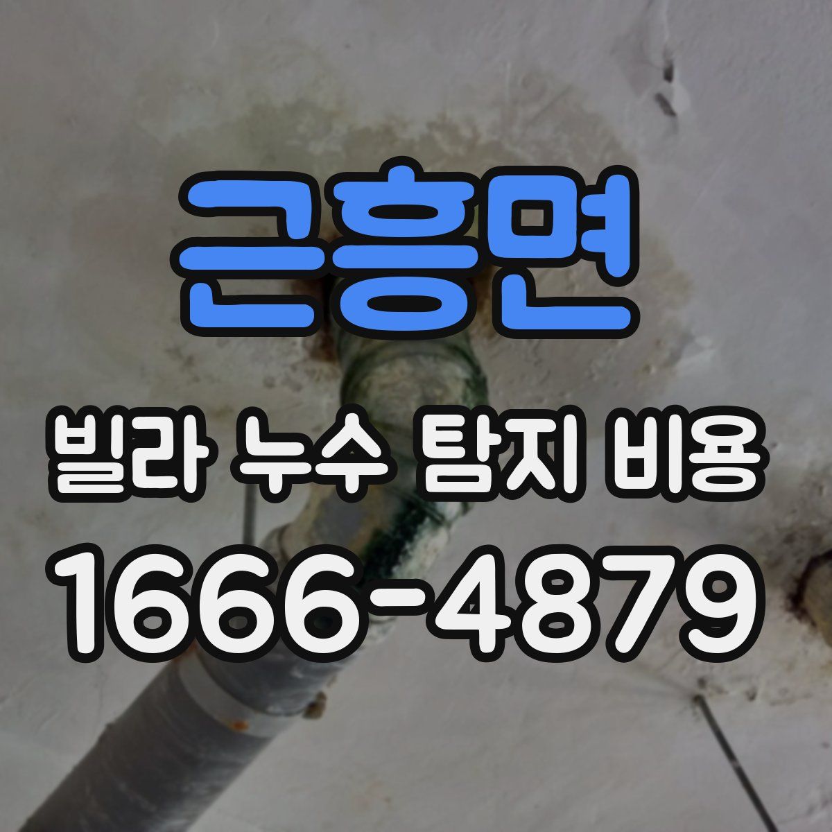 근흥면 빌라 누수 탐지 비용