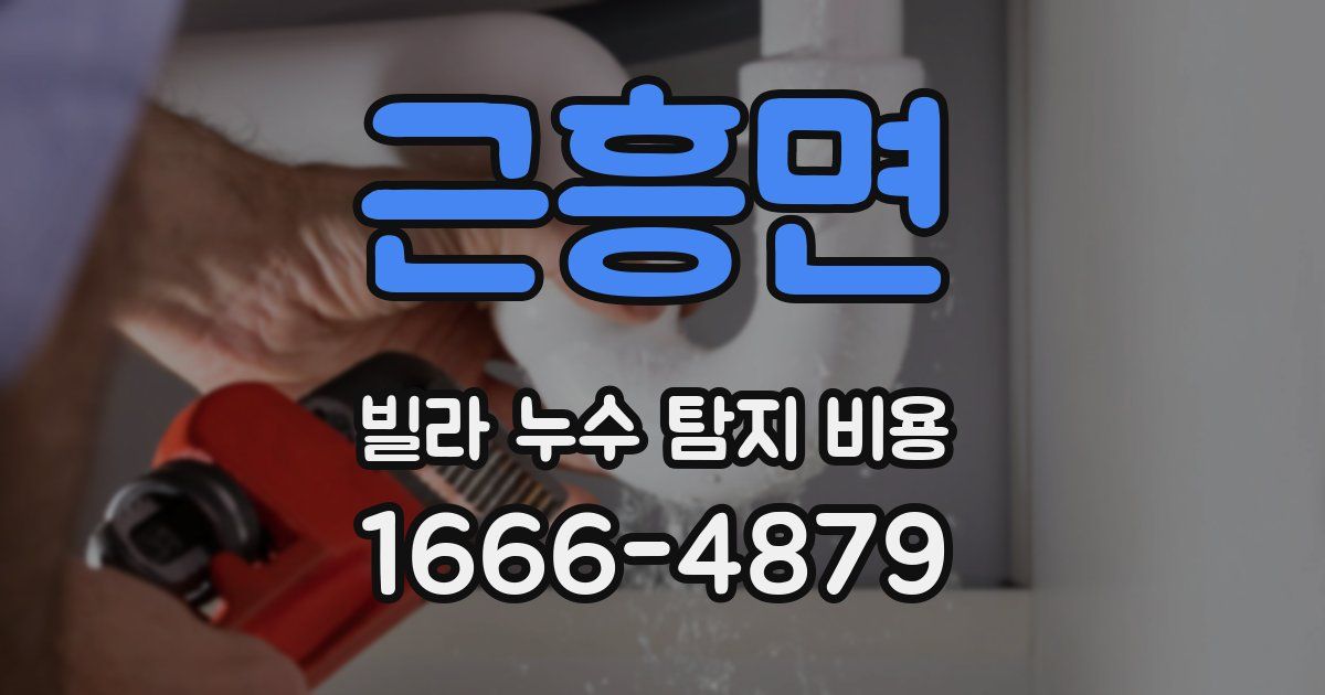 근흥면 빌라 누수 탐지 비용