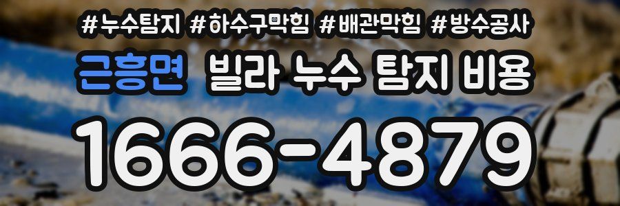 근흥면 빌라 누수 탐지 비용