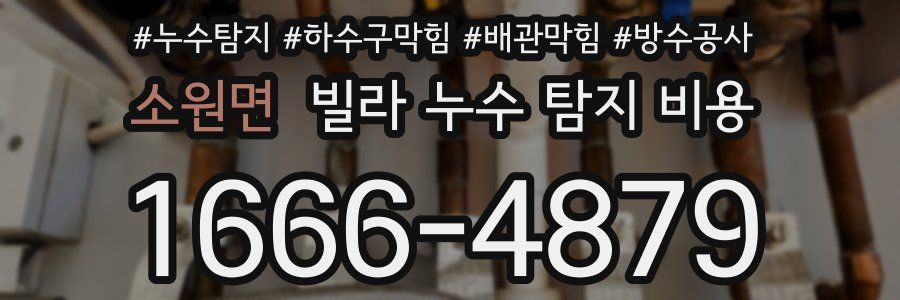 소원면 빌라 누수 탐지 비용