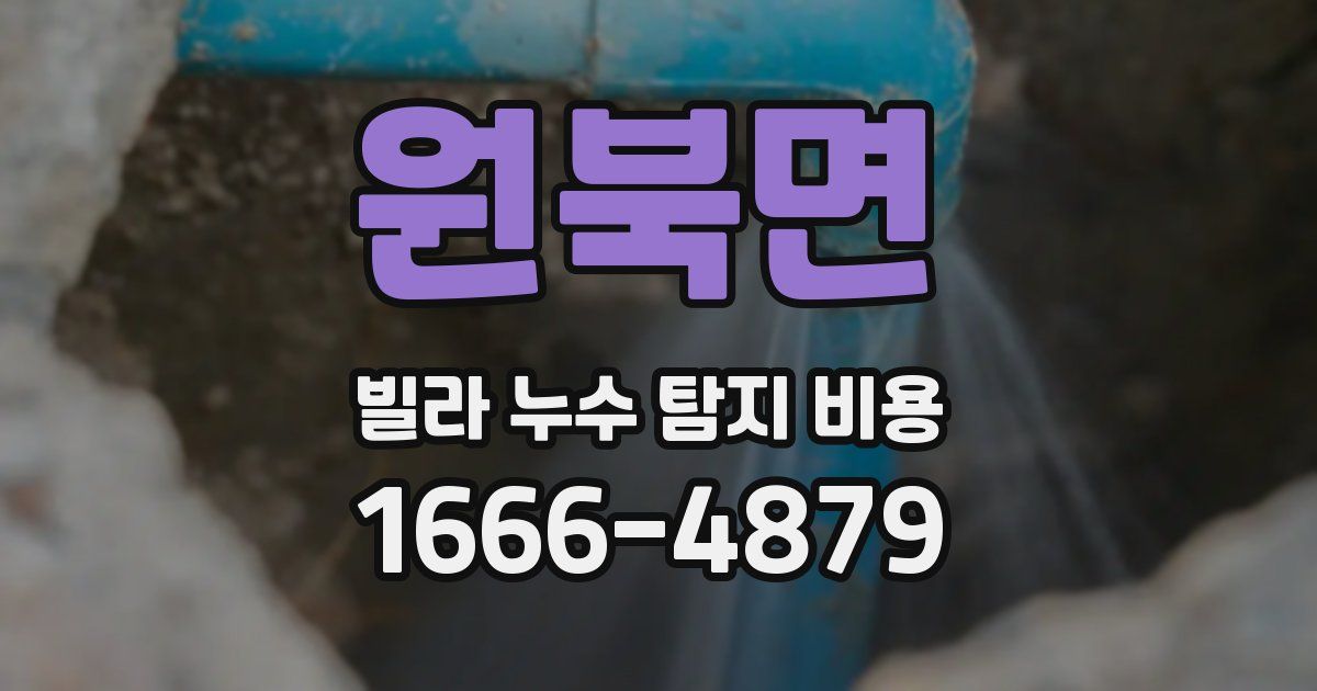 원북면 빌라 누수 탐지 비용