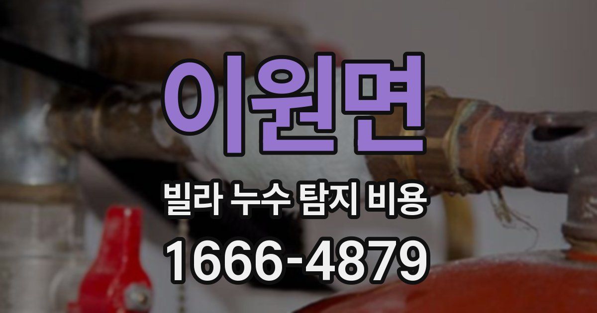 이원면 빌라 누수 탐지 비용
