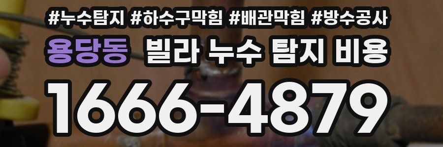 용당동 빌라 누수 탐지 비용