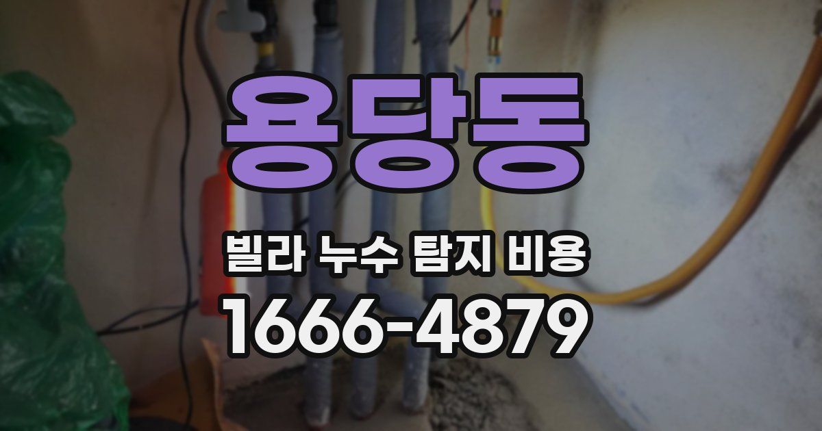 용당동 빌라 누수 탐지 비용
