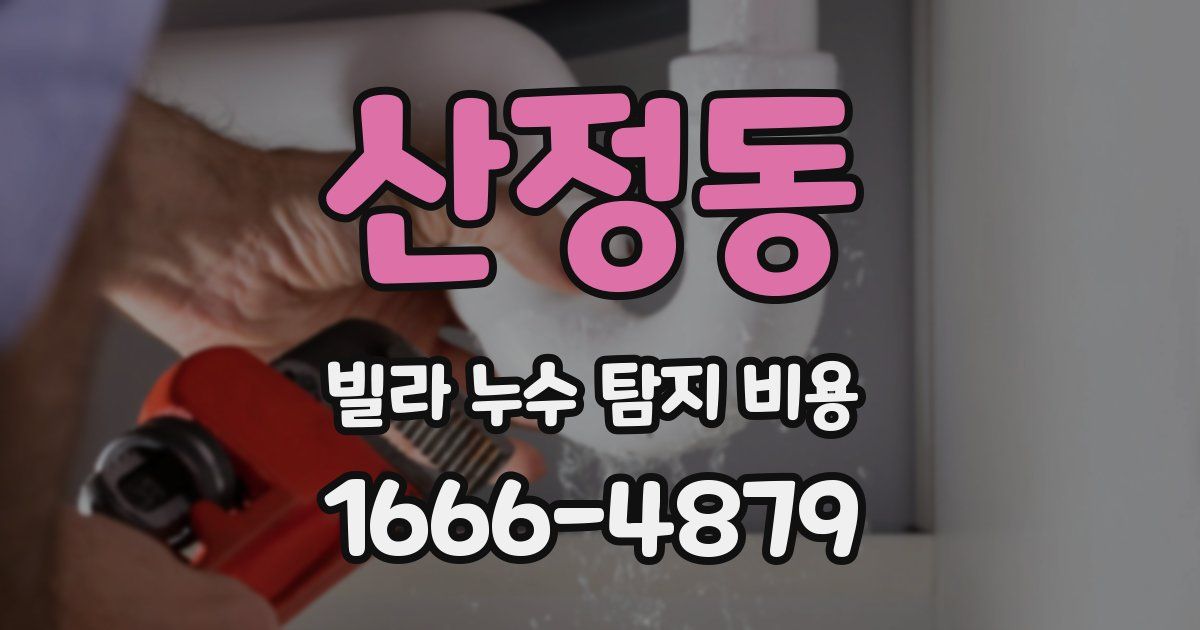 산정동 빌라 누수 탐지 비용