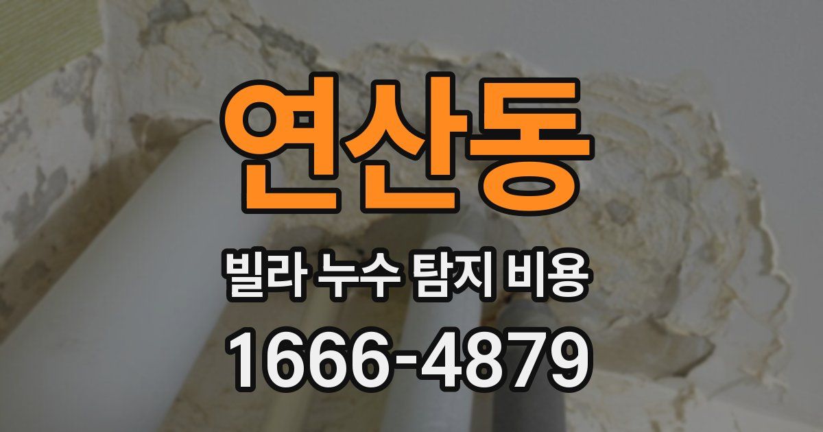 연산동 빌라 누수 탐지 비용
