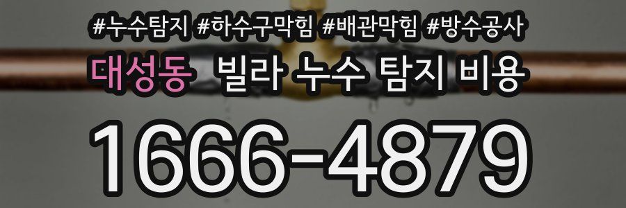 대성동 빌라 누수 탐지 비용