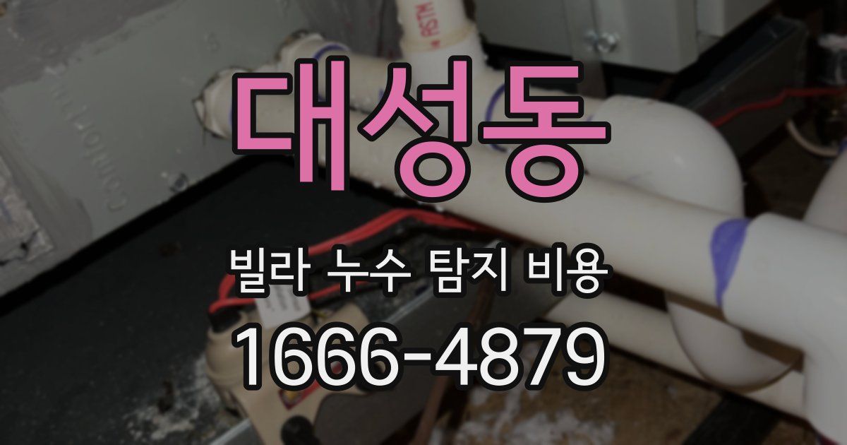 대성동 빌라 누수 탐지 비용