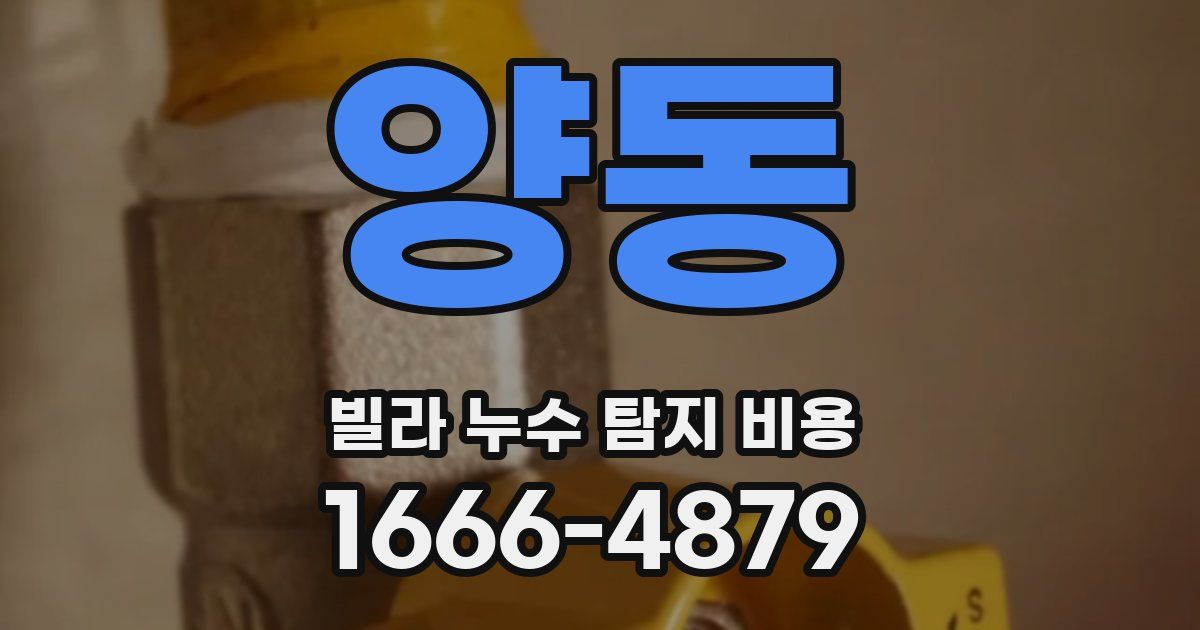 양동 빌라 누수 탐지 비용