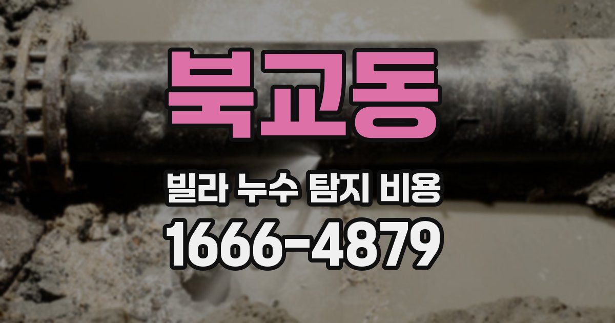 북교동 빌라 누수 탐지 비용