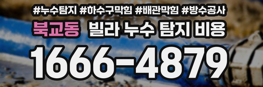 북교동 빌라 누수 탐지 비용
