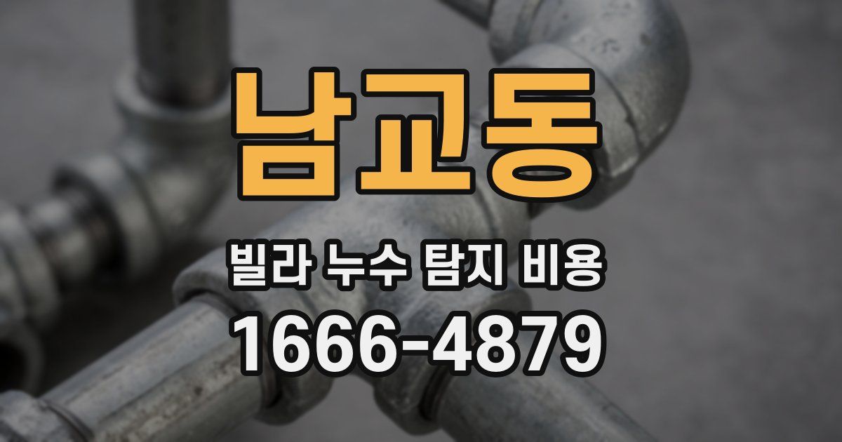 남교동 빌라 누수 탐지 비용