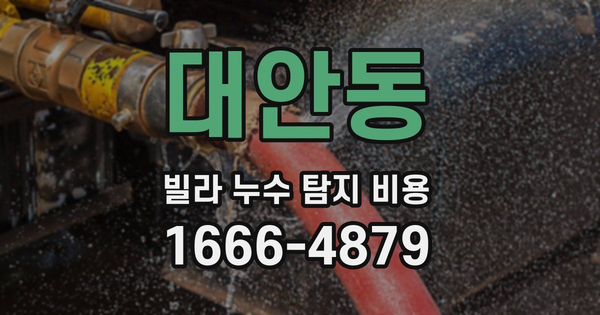 대안동 빌라 누수 탐지 비용