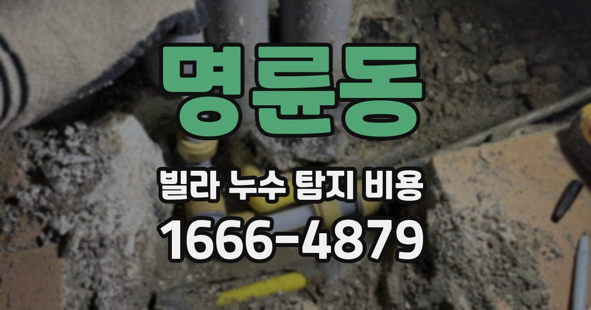 명륜동 빌라 누수 탐지 비용