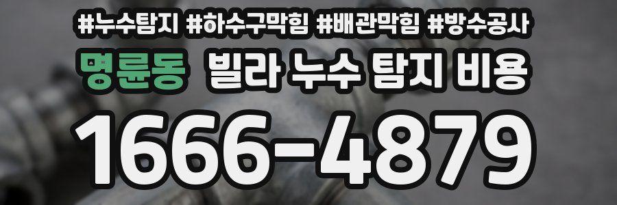 명륜동 빌라 누수 탐지 비용