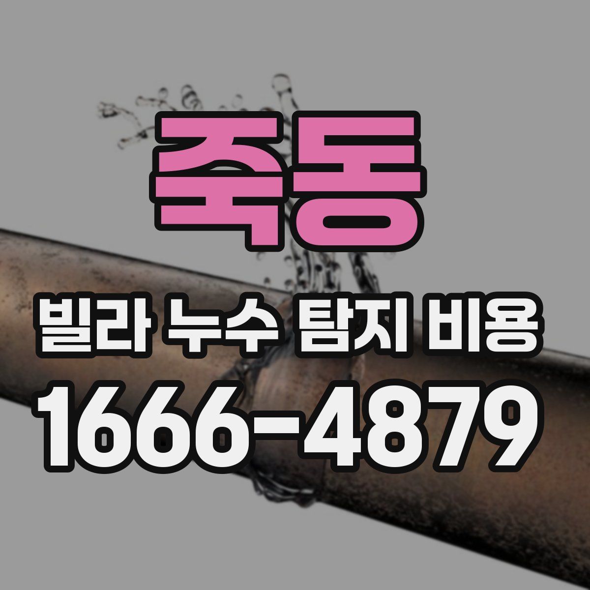 죽동 빌라 누수 탐지 비용