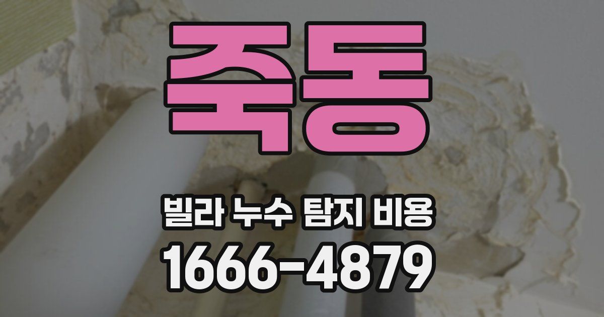 죽동 빌라 누수 탐지 비용