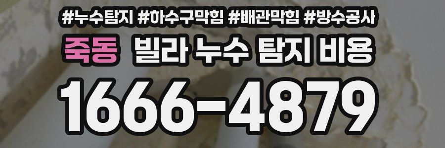 죽동 빌라 누수 탐지 비용