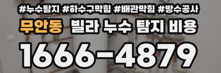 무안동 빌라 누수 탐지 비용