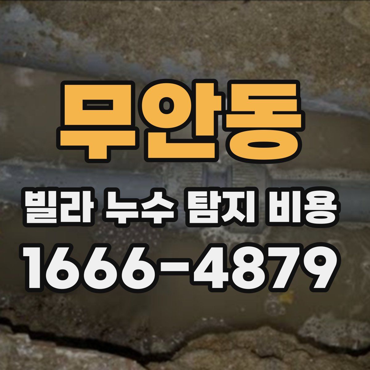무안동 빌라 누수 탐지 비용
